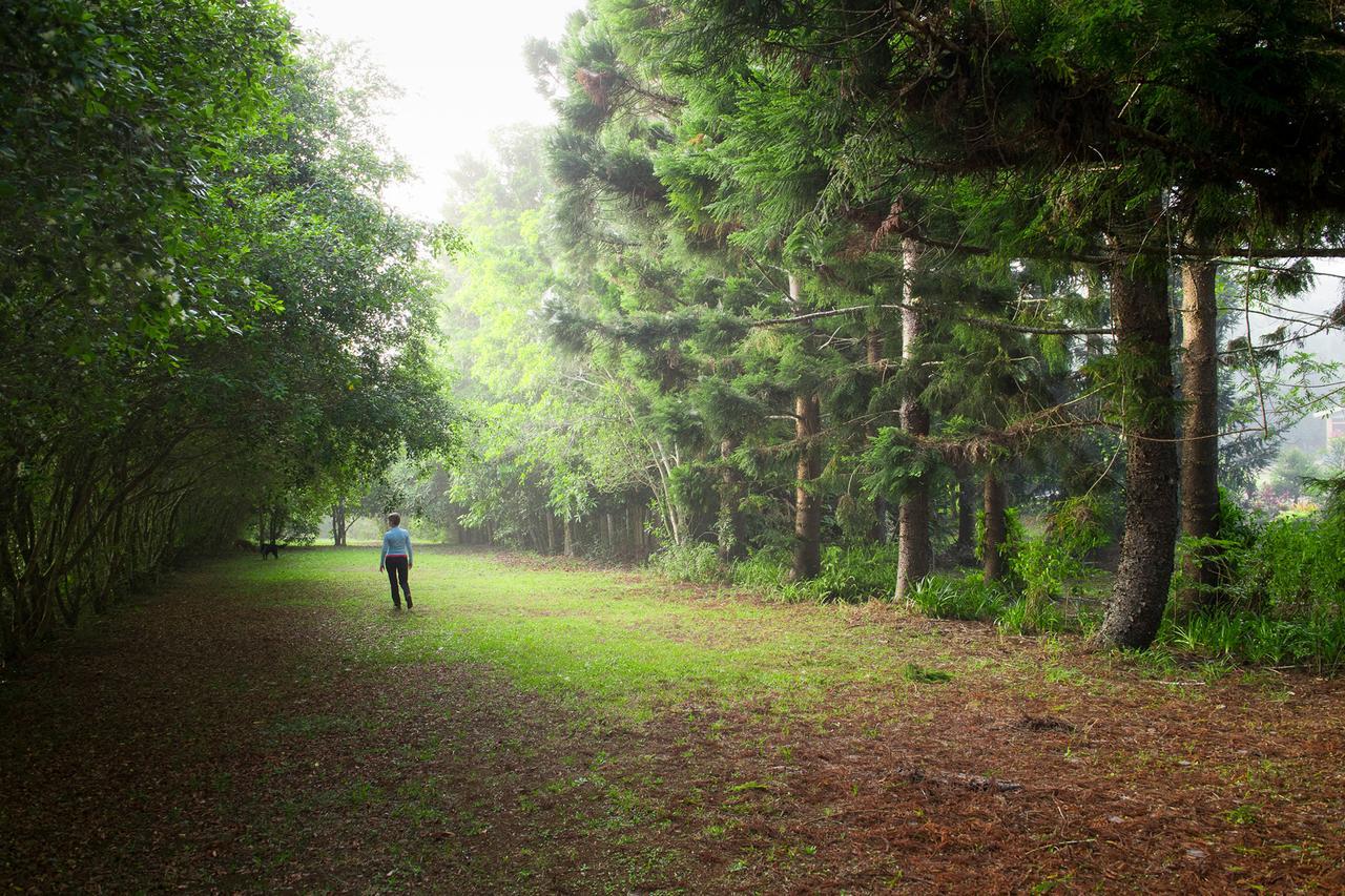 Sharlynn By The River Villa Malanda Bagian luar foto